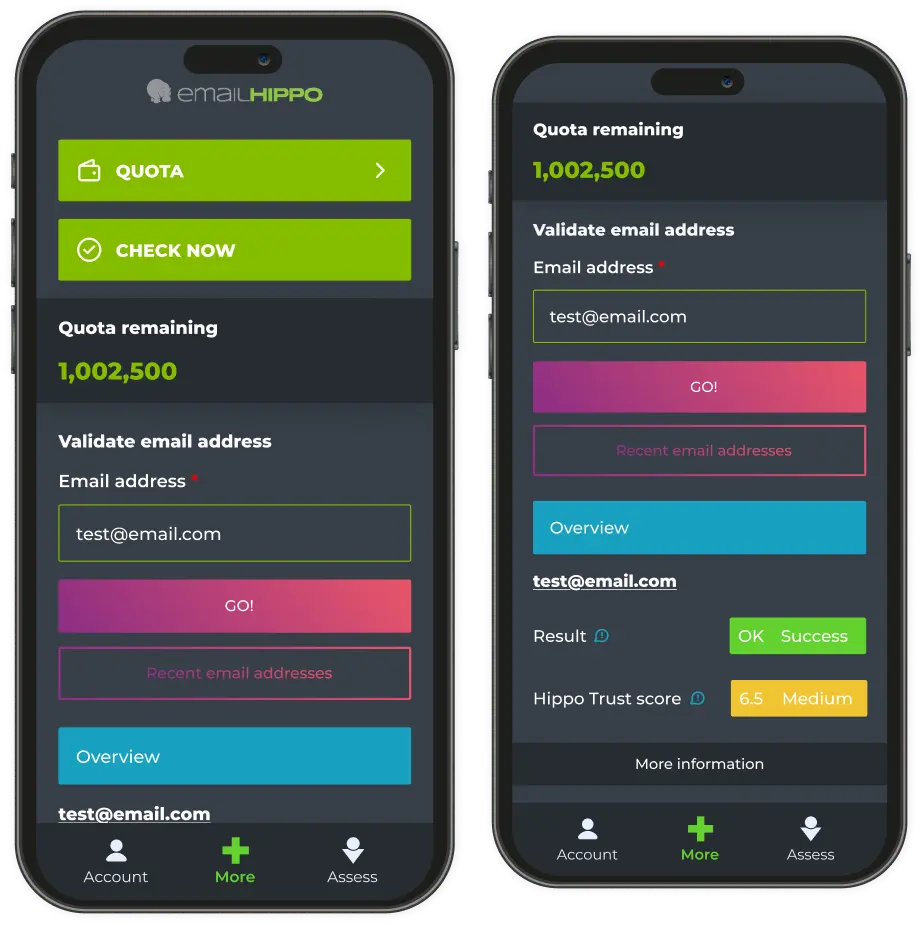 Mobile app screen showing email validation and quota information